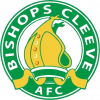 https://img.vifeclub.com/img/football/team/117b9f710567cff1ff00b73ceca460da.png