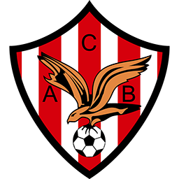 https://img.vifeclub.com/img/football/team/3acfdd05cfbe037ca690f5d2b62fb410.png