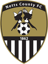 https://img.vifeclub.com/img/football/team/9e230c89a846b9cadf91884918fa7611.png