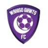 https://img.vifeclub.com/img/football/team/c5a548d374c3bb29f1190bf670442c90.png